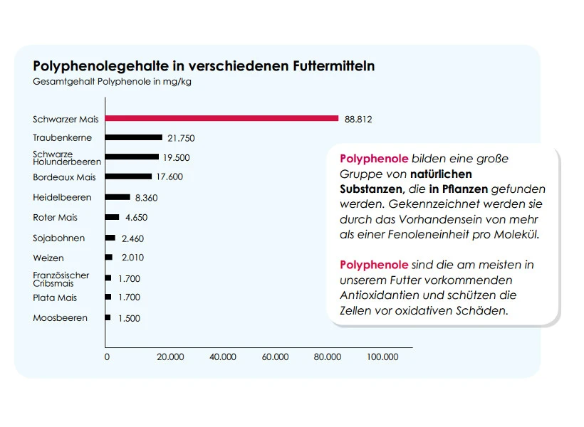 Versele Superstar Plus IC+ Black Label 20kg 5 Versele Superstar Plus IC+ Black Label 20kg – Bild 3