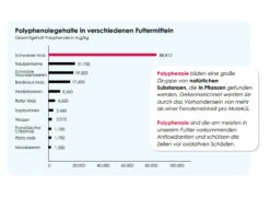 Versele Junior Plus I.C.⁺ 20kg -Futternest Geschäft antioxidantien 17
