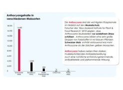 Versele Start Plus I.C.⁺ 20kg -Futternest Geschäft antioxidantien 29