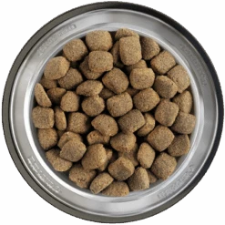 Belcando Junior Maxi 12,5kg -Futternest Geschäft belcando napf junior maxi 800x800