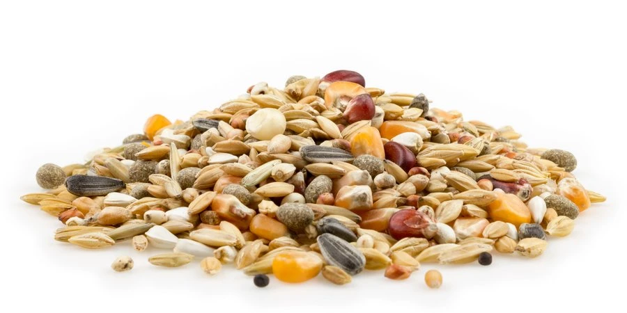 Mifuma Fitness 25kg 3 Mifuma Fitness 25kg