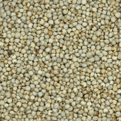 VERSELE-LAGA Dari Weiß - Versele 25kg