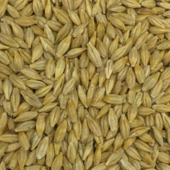 Gerste Gestutzt - Vanrobaeys 25kg