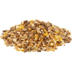 Versele Gold 4 Mix 20kg -Futternest Geschäft gold4mixl