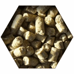 Beyers Goldcorn Koopman 2,5kg -Futternest Geschäft goldcorn