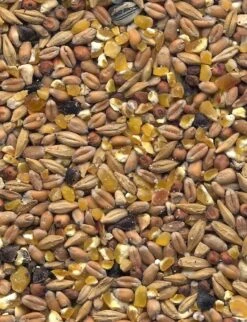 Havens Scharrel-Graan - Körnerfutter 25kg -Futternest Geschäft graanmengelingenscharrelgraan