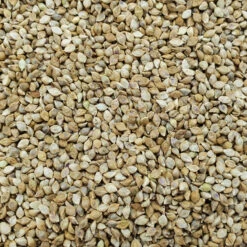 Hirse Japan - Vanrobaeys 15kg