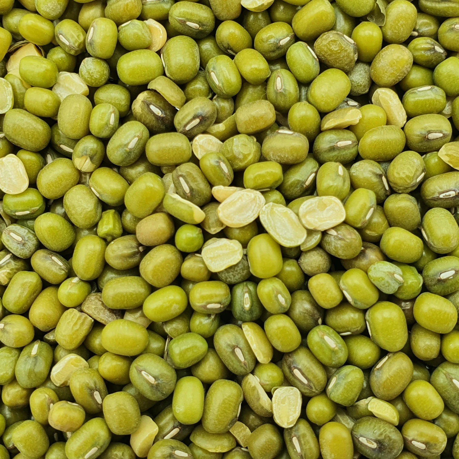 Katjangbohnen - Vanrobaeys 25kg 3 Katjangbohnen - Vanrobaeys 25kg