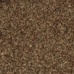 Leinsamen Braun - Vanrobaeys 20kg