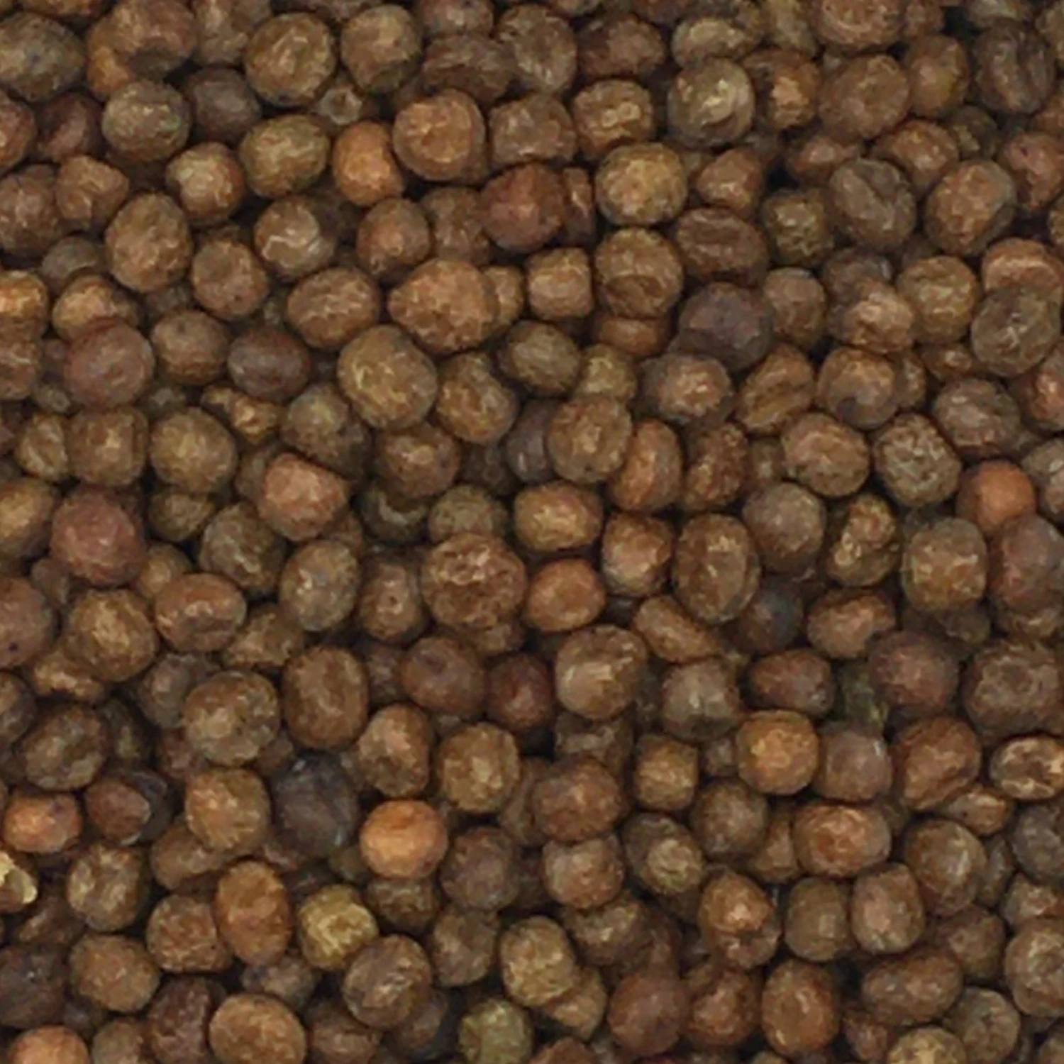 Maple Peas - Vanrobaeys 20kg 3 Maple Peas - Vanrobaeys 20kg