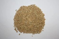 Paddyreis - Vanrobaeys 20kg