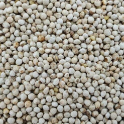 Perillasaat Weiß - Vanrobaeys 25kg