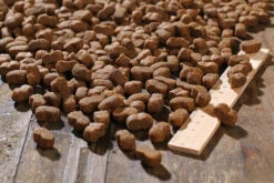 Bewi Dog Junior 12,5kg -Futternest Geschäft rs2899 junior kroketten lineal img 1767b klein