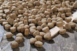 Bewi Dog Balance 12,5kg -Futternest Geschäft rs2902 balance kroketten lineal img 1797b klein1