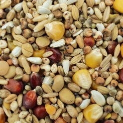 Spinne Top Energy 25kg