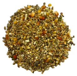 Futternest Geschäft 7 Futternest Geschäft -Futternest Geschäft turbo fett extrem