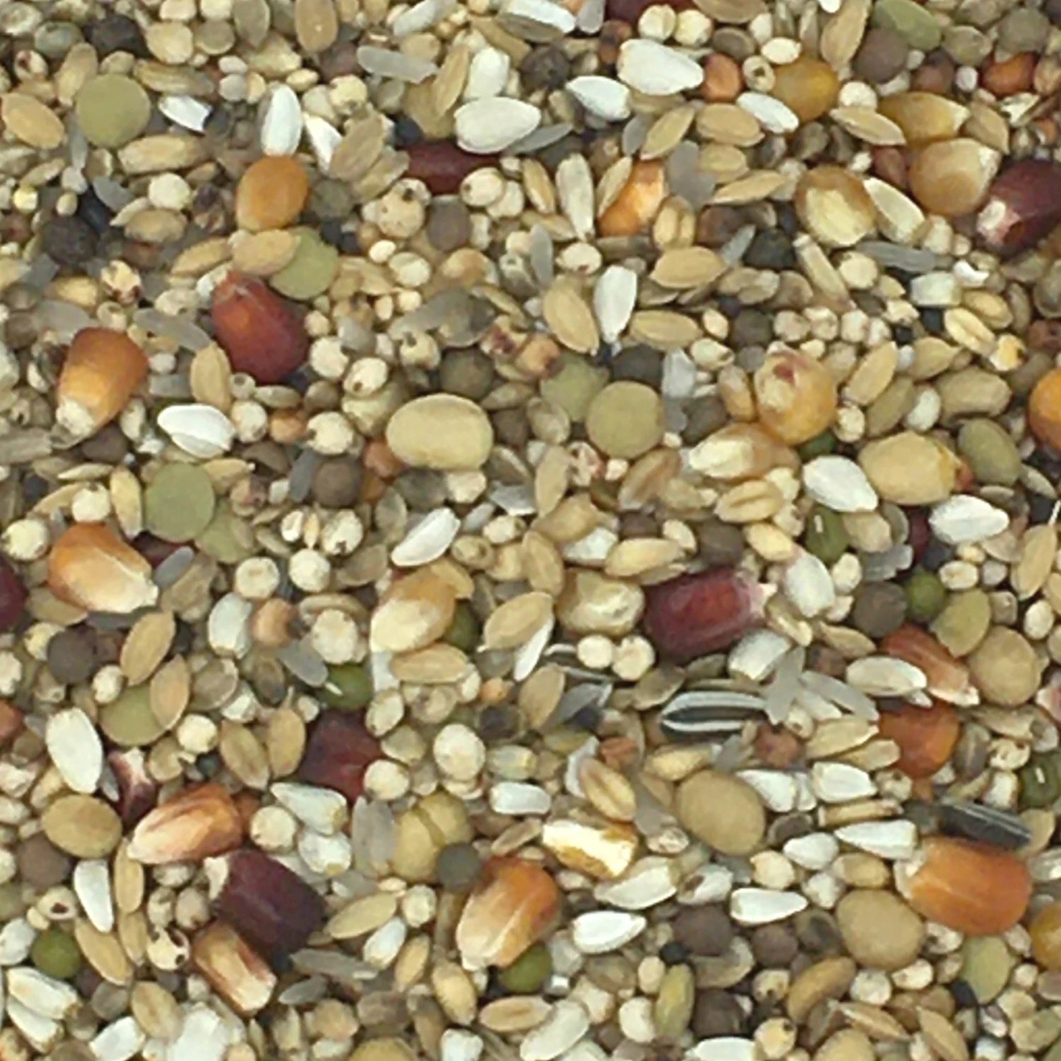 Vanrobaeys Nr.185 Jungtauben Premium Power 20kg 3 Vanrobaeys Nr.185 Jungtauben Premium Power 20kg