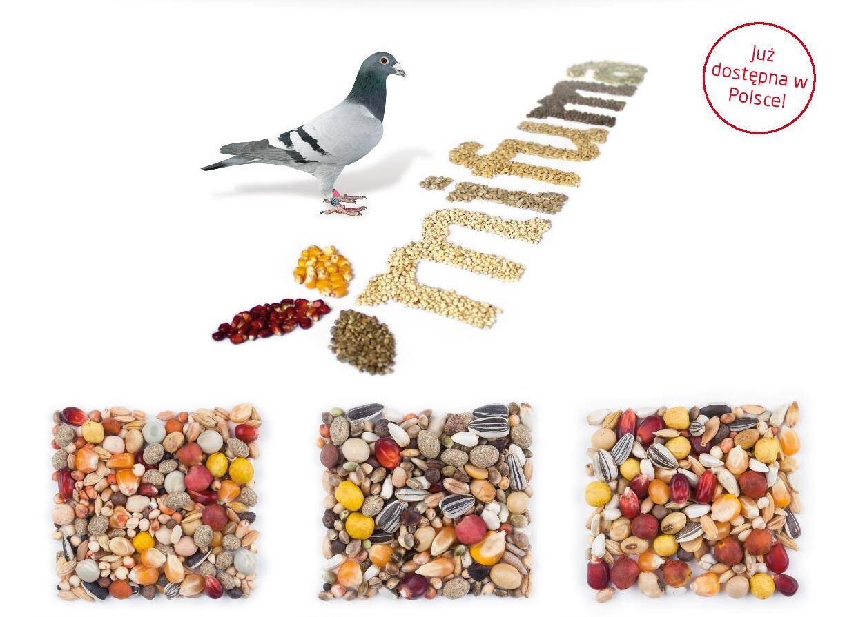 Futternest Geschäft -Futternest Geschäft 496254888 3956042434658663 3075438371763211812 n e1756895491735