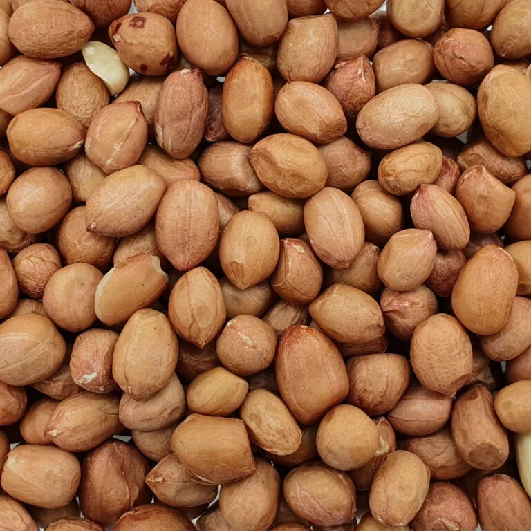 Futternest Geschäft 27 Futternest Geschäft -Futternest Geschäft spinne erdnuesse spitzenqualitaet web 768x768 1