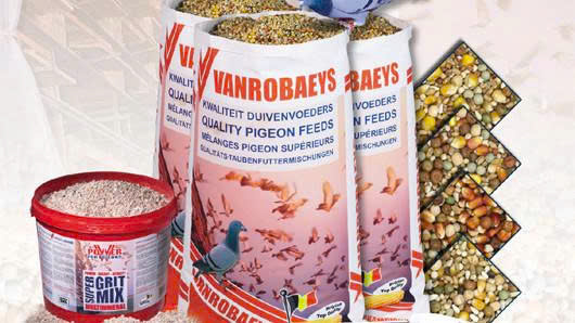 Futternest Geschäft -Futternest Geschäft z6973174782078 ac6c8306db1515bef734e6abad3b682d